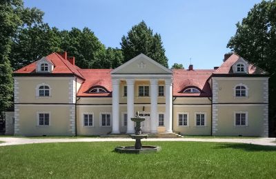 Pałac na sprzedaż Radoszewnica, Śląskie, Widok zewnętrzny