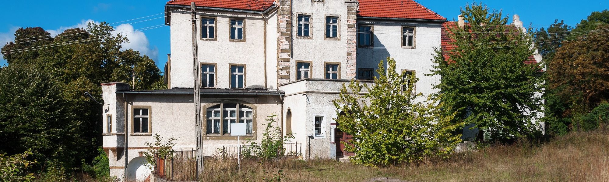 Zdjęcia Pałac w Dłużek na sprzedaż, gm Lubsko, Lubuskie