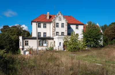 Pałac na sprzedaż Dłużek, Lubuskie,, Widok zewnętrzny