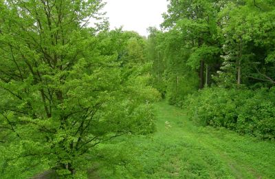 Pałac na sprzedaż Gwoździany, Spółdzielcza 4a, Śląskie, Park