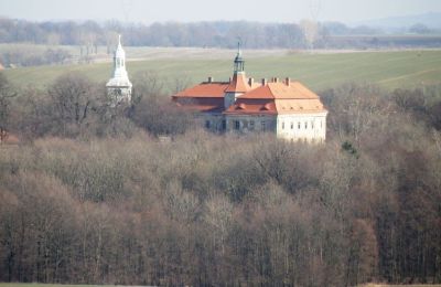 Zabytkowa nieruchomość na sprzedaż Domanice, Dolnośląskie, Zdjęcie 6/13