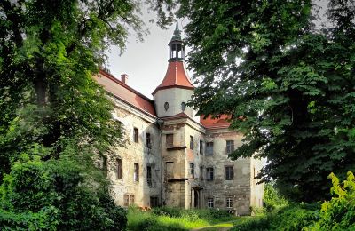 Zabytkowa nieruchomość na sprzedaż Domanice, Dolnośląskie, Wjazd