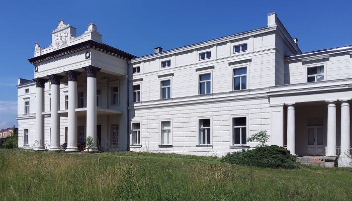 Pałac na sprzedaż Głuchowo, województwo wielkopolskie,  Polska