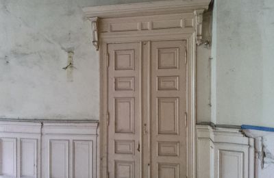 Pałac na sprzedaż Głuchowo, Palac 1, Wielkopolskie, Panele drewniane