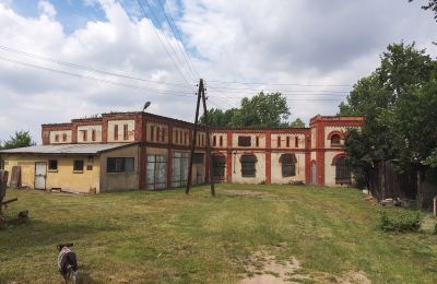 Pałac na sprzedaż Głuchowo, Palac 1, Wielkopolskie, Oficyna