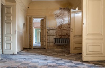 Pałac na sprzedaż Głuchowo, Palac 1, Wielkopolskie, Wejście