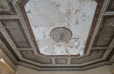 Pałac na sprzedaż Głuchowo, Palac 1, Wielkopolskie, Sufit