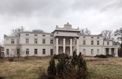 Pałac na sprzedaż Głuchowo, Palac 1, województwo wielkopolskie:  Widok z zewnątrz