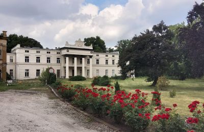 Pałac na sprzedaż Głuchowo, Palac 1, Wielkopolskie, Wjazd