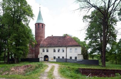 Zamek na sprzedaż Karłowice, Zamek w Karłowicach, Opolskie, Widok z przodu