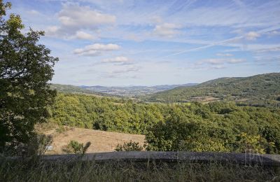 Zabytkowa wieża na sprzedaż 06019 Spedalicchio, Umbria, Zdjęcie 29/31