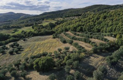 Zabytkowa wieża na sprzedaż 06019 Spedalicchio, Umbria, Zdjęcie 26/31