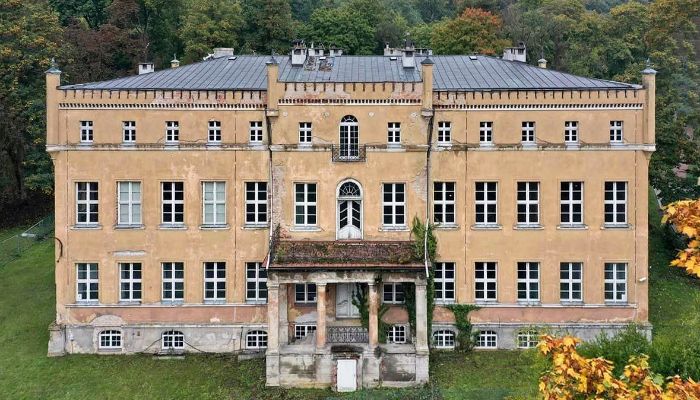 Pałac powiat gorzowski, gmina Witnica, Dąbroszyn