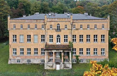Pałac powiat gorzowski, gmina Witnica, Dąbroszyn