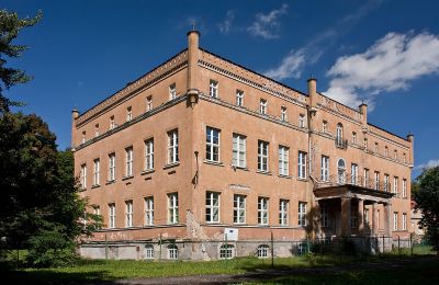 Pałac na sprzedaż Dąbroszyn, Pałac w Dąbroszynie, Lubuskie, Widok z boku