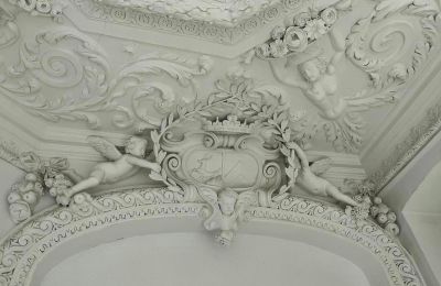 Pałac na sprzedaż Dąbroszyn, Pałac w Dąbroszynie, Lubuskie,  © Stowarzyszenie Templum