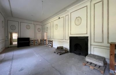 Pałac na sprzedaż Dąbroszyn, Pałac w Dąbroszynie, Lubuskie, © Stowarzyszenie Templum