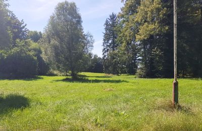 Dwór na sprzedaż Konopnica, Łódzkie, Zdjęcie 7/8