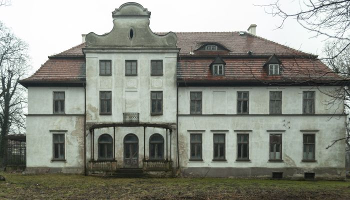 Pałac na sprzedaż Kujawy, województwo opolskie,  Polska