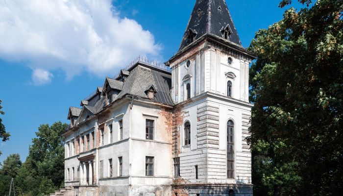 Pałac na sprzedaż Budziwojów, województwo dolnośląskie,  Polska