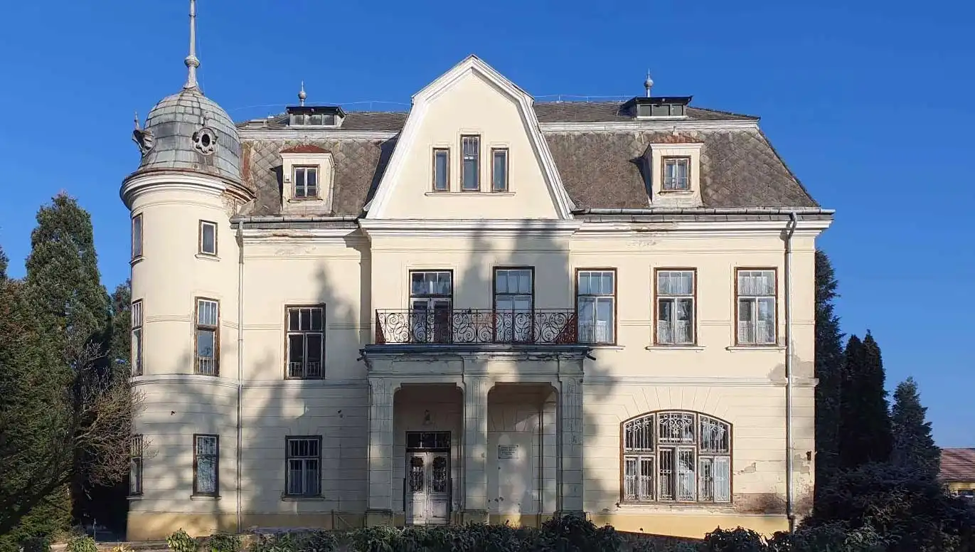 Zdjęcia Poszukujemy inwestora: Pałac na Węgrzech