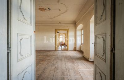 Pałac na sprzedaż Žitenice, Zámek Žitenice, okres Litoměřice, Sala balowa
