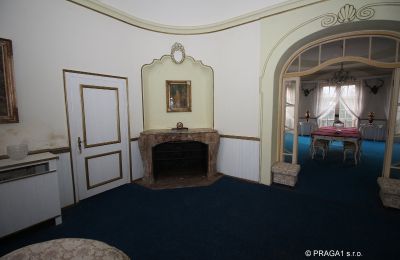 Dwór na sprzedaż Karlovy Vary, okres Karlovy Vary, Zdjęcie 9/15