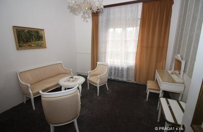 Dwór na sprzedaż Karlovy Vary, okres Karlovy Vary, Zdjęcie 12/15