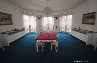 Dwór na sprzedaż Karlovy Vary, okres Karlovy Vary, Widok wnętrza