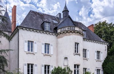 Pałac na sprzedaż Châteauroux, Centre-Val de Loire:  Widok z tyłu