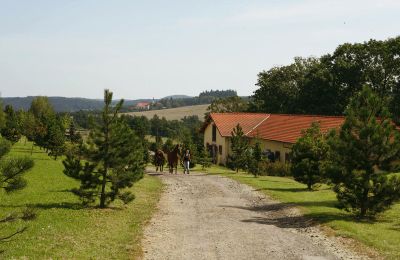 Dwór na sprzedaż Benešov, Středočeský kraj:  