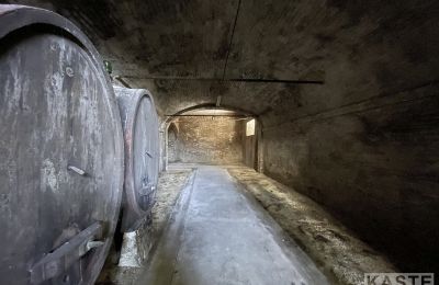Zabytkowa willa na sprzedaż Santo Pietro Belvedere, Toskania, Zdjęcie 13/14