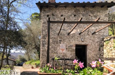 Dom na wsi Pescaglia, Toskania