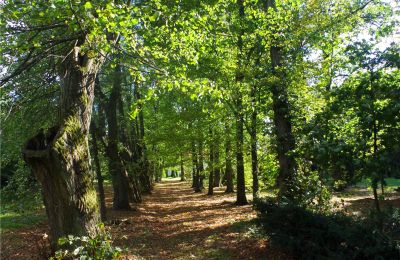 Dwór na sprzedaż Paplin, Dwór w Paplinie, Mazowieckie, Zdjęcie 16/20