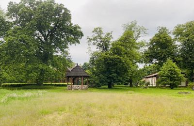 Dwór na sprzedaż Paplin, Dwór w Paplinie, Mazowieckie, Działka