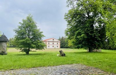 Dwór na sprzedaż Paplin, Dwór w Paplinie, Mazowieckie, Zdjęcie 11/20