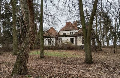 Dwór na sprzedaż Leszno, Wielkopolskie, Widok z boku