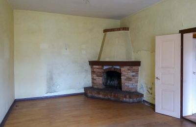 Dwór na sprzedaż Leszno, Wielkopolskie, Kominek