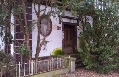 Dwór na sprzedaż Leszno, Wielkopolskie, Zdjęcie 3/15