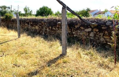 Dwór na sprzedaż Viana do Castelo, Valença, Cristelo Covo e Arão, Arão, Portugalia-Północ, Zdjęcie 38/44