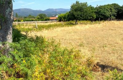 Dwór na sprzedaż Viana do Castelo, Valença, Cristelo Covo e Arão, Arão, Portugalia-Północ, Zdjęcie 30/44