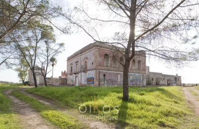 Dwór na sprzedaż Manduria, Apulia, Zdjęcie 37/38