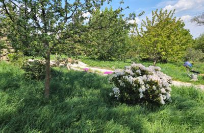 Wiejski dom na sprzedaż Lubomierz, Dolnośląskie, Zdjęcie 6/29