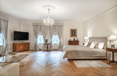 Pałac na sprzedaż Szczecin, Zachodniopomorskie, Zdjęcie 17/48