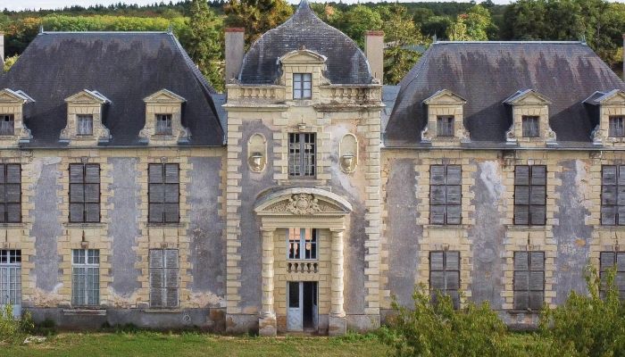 Pałac na sprzedaż Loudun, Nouvelle-Aquitaine,  Francja