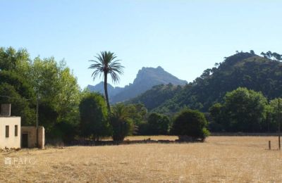 Dwór na sprzedaż Mallorca, Serra de Tramuntana, Cala Sant Vicenç, Baleary, Zdjęcie 11/14
