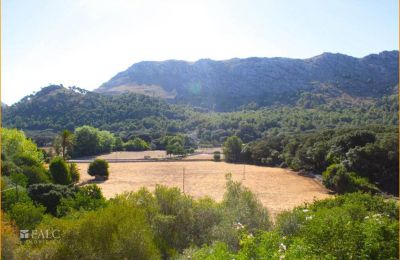 Dwór na sprzedaż Mallorca, Serra de Tramuntana, Cala Sant Vicenç, Baleary, Zdjęcie 8/14