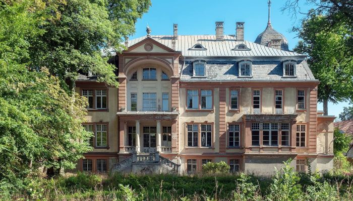 Pałac na sprzedaż Brzeźnica, Lubuskie,  Polska