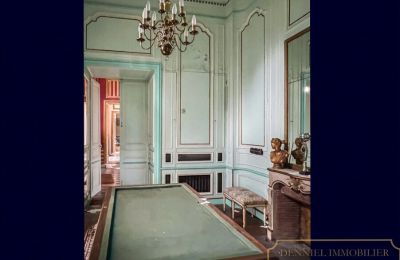 Pałac na sprzedaż Chantilly, Hauts-de-France, Sala bilardowa