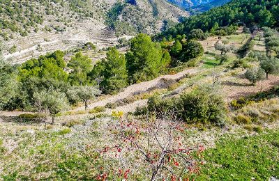 Zabytkowa willa na sprzedaż Relleu, Walencja, Zdjęcie 21/24